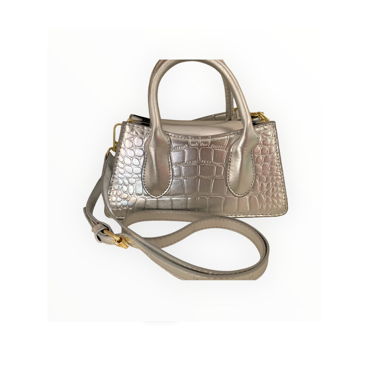 Paris mini Silver purse